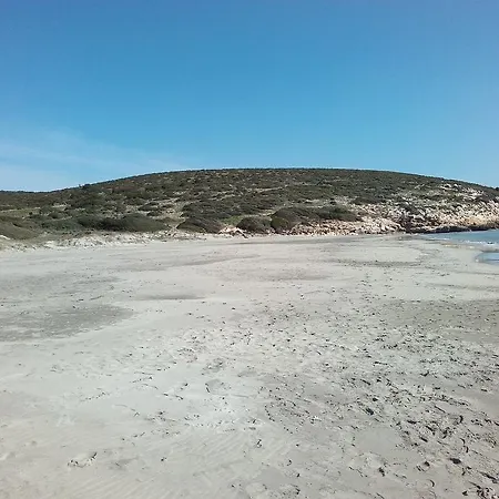 Le Pavoncelle