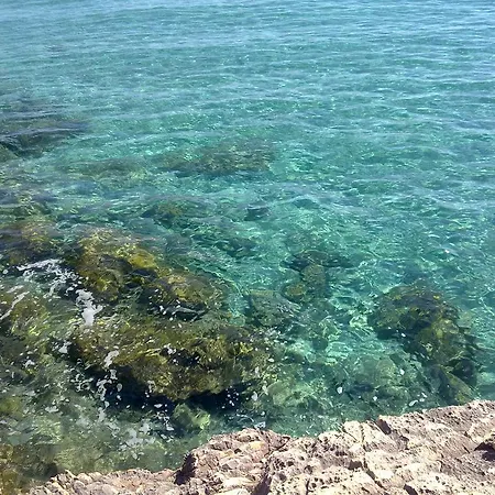 Le Pavoncelle
